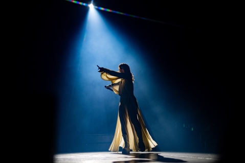 ELISA - PALASPORT LIVE 2025 - foto 71