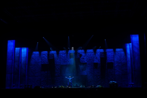 NOTRE DAME DE PARIS - TOUR 2026 - foto 2