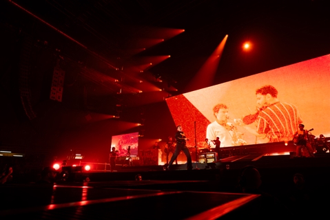 OLLY - TUTTA VITA PALAZZETTI - foto 51